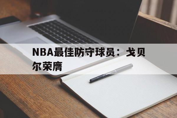 NBA最佳防守球员：戈贝尔荣膺